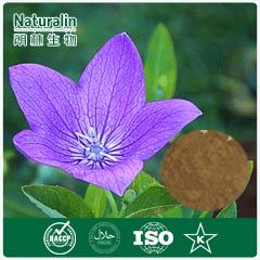 Balloonflower Root Extract