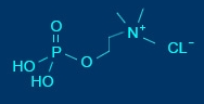 Phosphorylcholine,PC