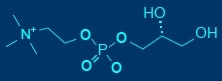 L-α- Glyceryl Phosphoryl Choline Powder