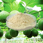 Monk Fruit Extract