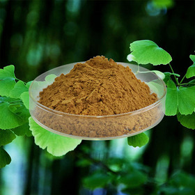 Ginkgo Biloba Leaf Extract