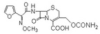 Cefuroxime Acid
