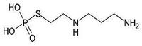 Amifostine