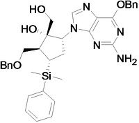 Entecavir intermediate...