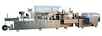 DPP260K-ZH180 Blister-Cartoner Line