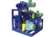 (ZJP1200C/ZJQ6000/2BE1-202) Roots Pump Systems With Water(oil)Ring Vacuum Pumps