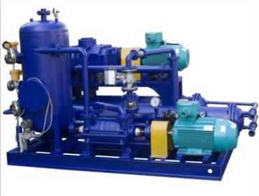 (ZJQ300-2SK6B) Roots Pump Systems With Water(oil)Ring Vacuum Pumps