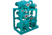 (JZJ2S) Roots Pump Systems With Water(oil)Ring Vacuum Pumps