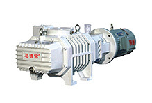 (ZJP150C) Roots Vacuum Pump