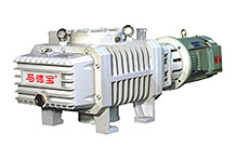 (ZJP300C) Roots Vacuum Pump