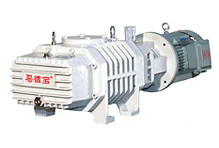 (ZJ150C) Roots Vacuum Pump