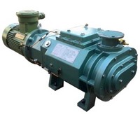 (LG120) Screw Vacuum Pump