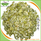 Pumpkin Seed P.E.