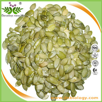 Pumpkin Seed P.E.