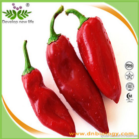 Red Pepper P.E.