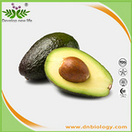 Avocado Soybean Unsaponifiables