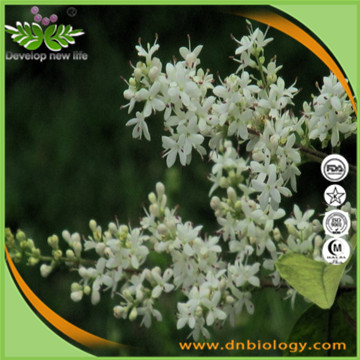 Ligustrum lucidum Extract