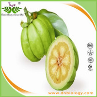 Garcinia cambogia P.E.                