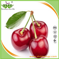 Acerola Cherry P.E.