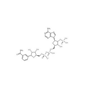 beta-nicotinamide adenine dinucleotide phosphate（NADP+）mono sodium salt