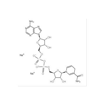 Nicotinamide adenine dinucleotide (reduced) disodium salt(NADH 2Na)