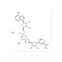 Nicotinamide adenine dinucleotide (reduced) disodium salt(NADH 2Na)