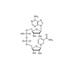 Nicotinamide adenine dinucleotide（NAD+）mono sodium salt