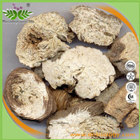 Adenophorae Extract Powder