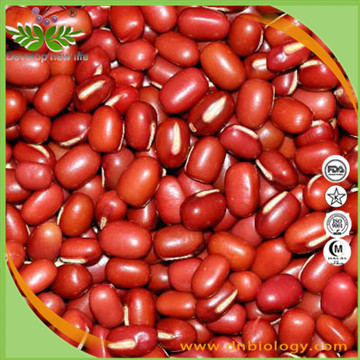 Adsuki Bean extract powder