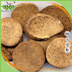 Alisma Extract Powder