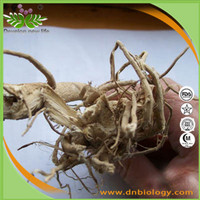 Althaea Rosae Root Extract