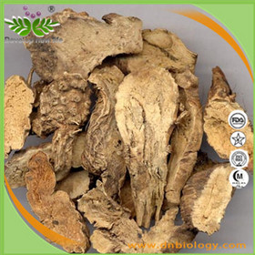 Belamcanda Extract