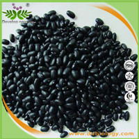 Black Bean Extract