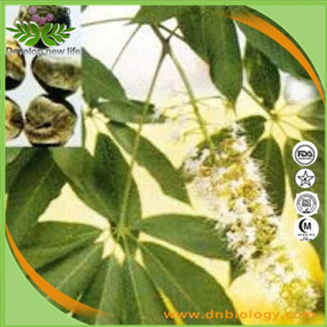 Boswellia Serrata Extract