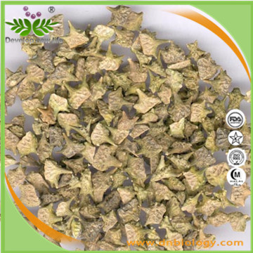 Broom Cypress Extract