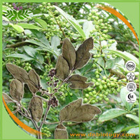 Buchu Leaf Extract