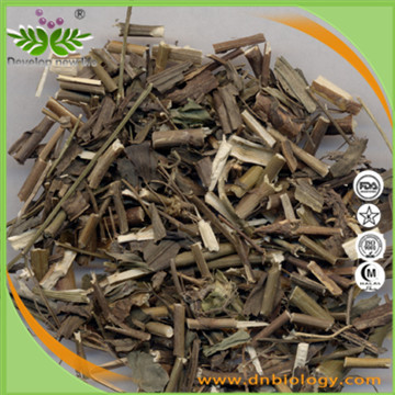 Bupleurum Extract Powder