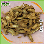 Burdock Root Extract