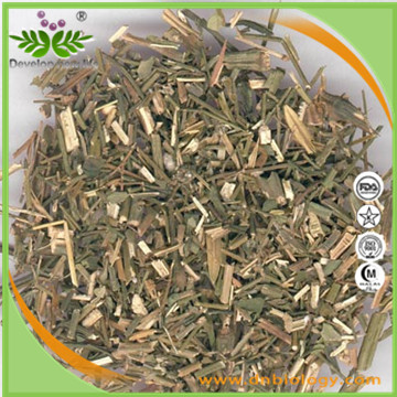 Andrographis Paniculata Extract