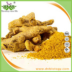 Turmeric Extract