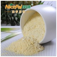Natural Spray Dried Pineapple Juice Powder / Pineapple Powder for Ice Cream