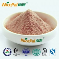Watermelon Fruit Juice Powder for Beverage Food/Juice Drink