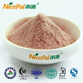 Watermelon Fruit Juice Powder for Beverage Food/Juice Drink