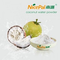 Coconut Water Powder 20-40 Mesh