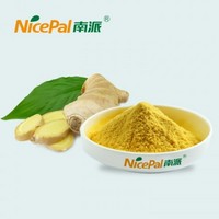 Ginger Powder 60-80 Mesh