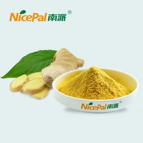 Ginger Powder 60-80 Mesh