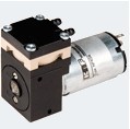 Swing Piston Pumps