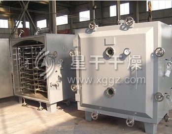 FZG Square Static Vacuum Dryer