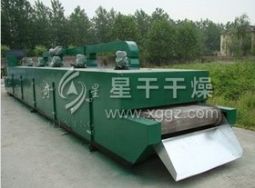 DW Monolayer Belt Dryer