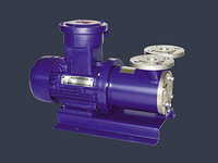 CWB magnetic vortex pumpCWB magnetic vortex pump